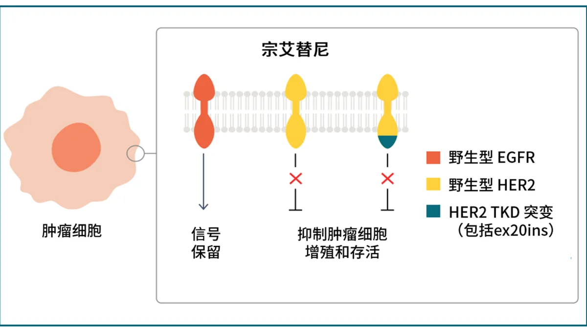 宗艾替尼和奥希替尼药品包装盒对比,旁边有说明书